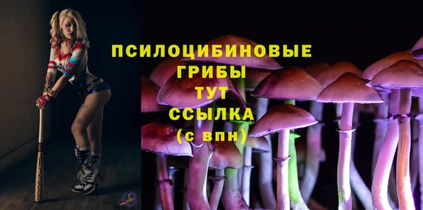 крисы Гусь-Хрустальный