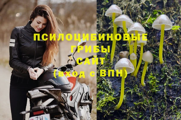 мескалин Гусев