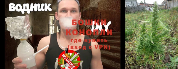 крисы Гусь-Хрустальный
