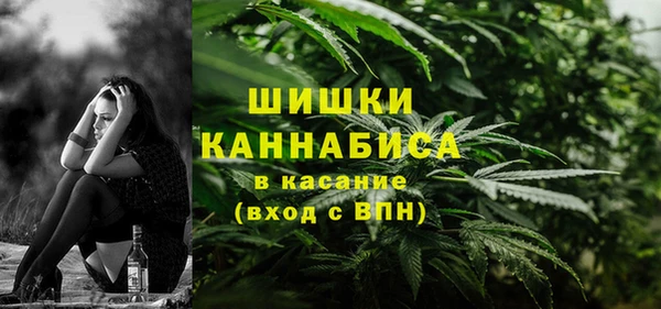 крисы Гусь-Хрустальный