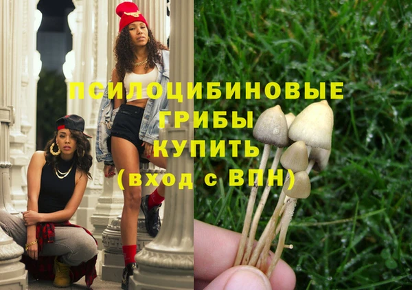 хмурый Гусиноозёрск
