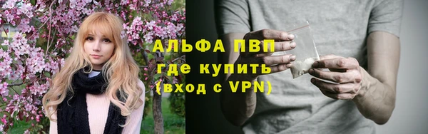 крисы Гусь-Хрустальный